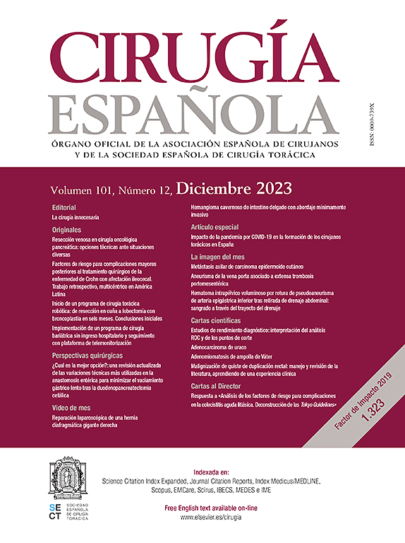 Go to journal home page - Cirugía Española